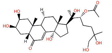 (R)-20,26-Dihydroxyecdysone 22-acetate